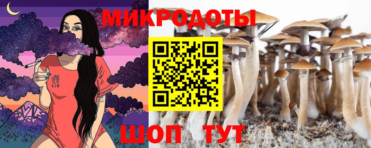 Вязники  Галлюциногенные грибы Psilocybe  Вход с VPN 