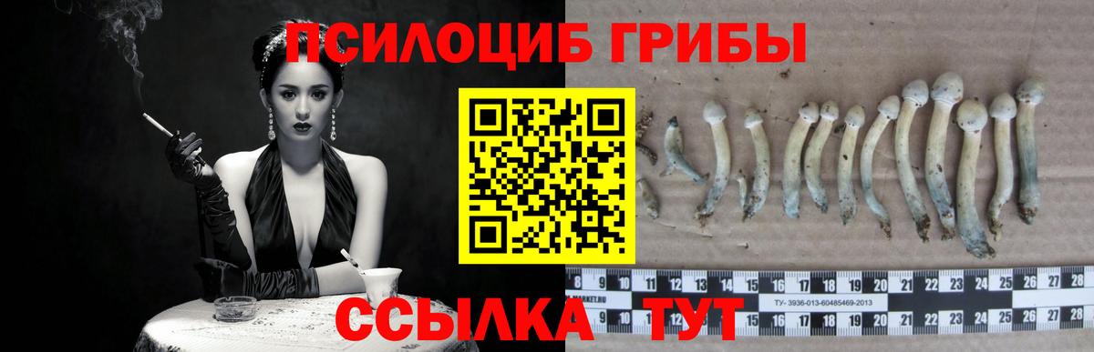 Галлюциногенные грибы прущие грибы Вязники